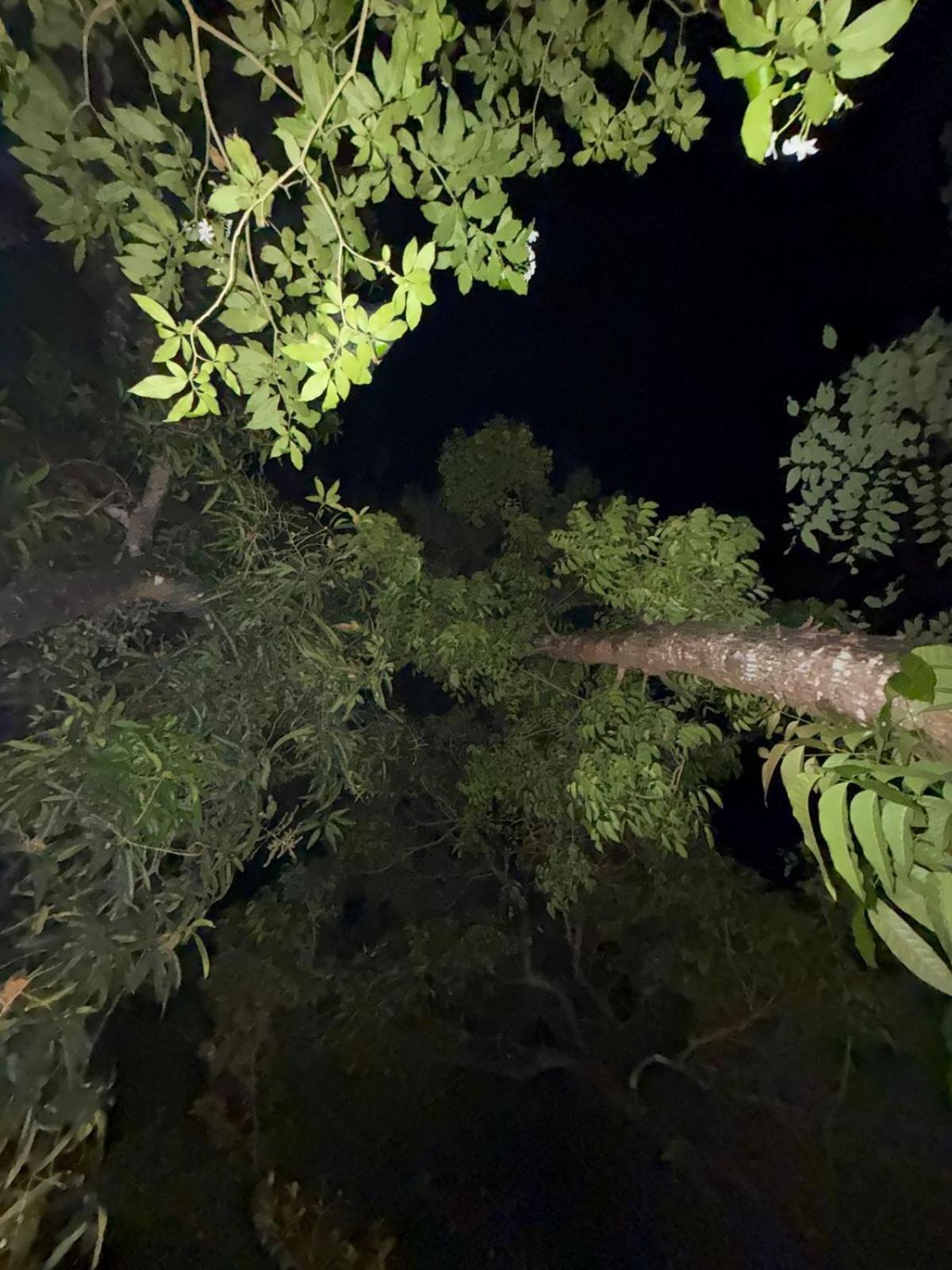 Marari Adonis Beach Villa Mararikulam Kültér fotó