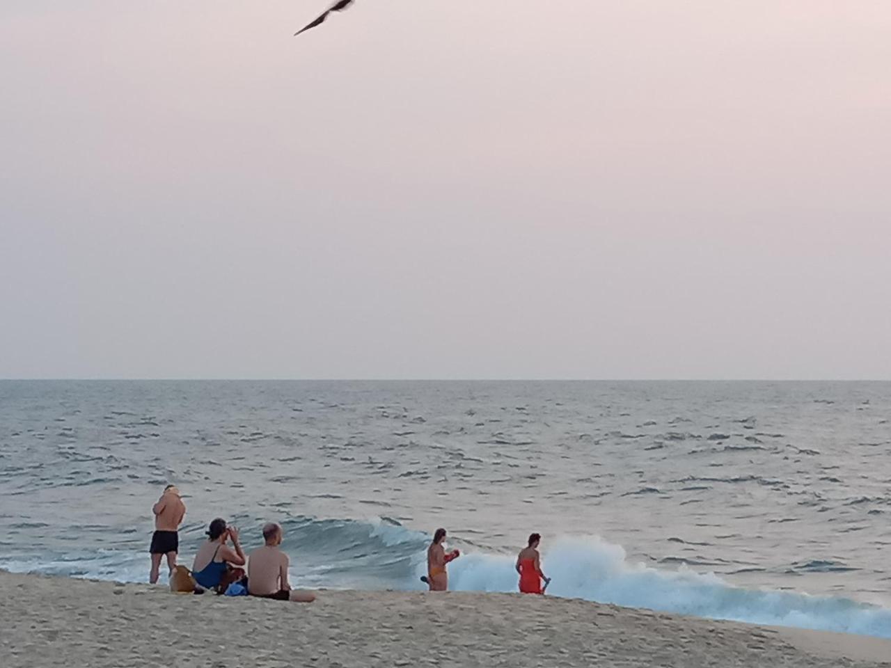 Marari Adonis Beach Villa Mararikulam Kültér fotó